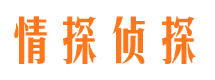 屏南侦探公司